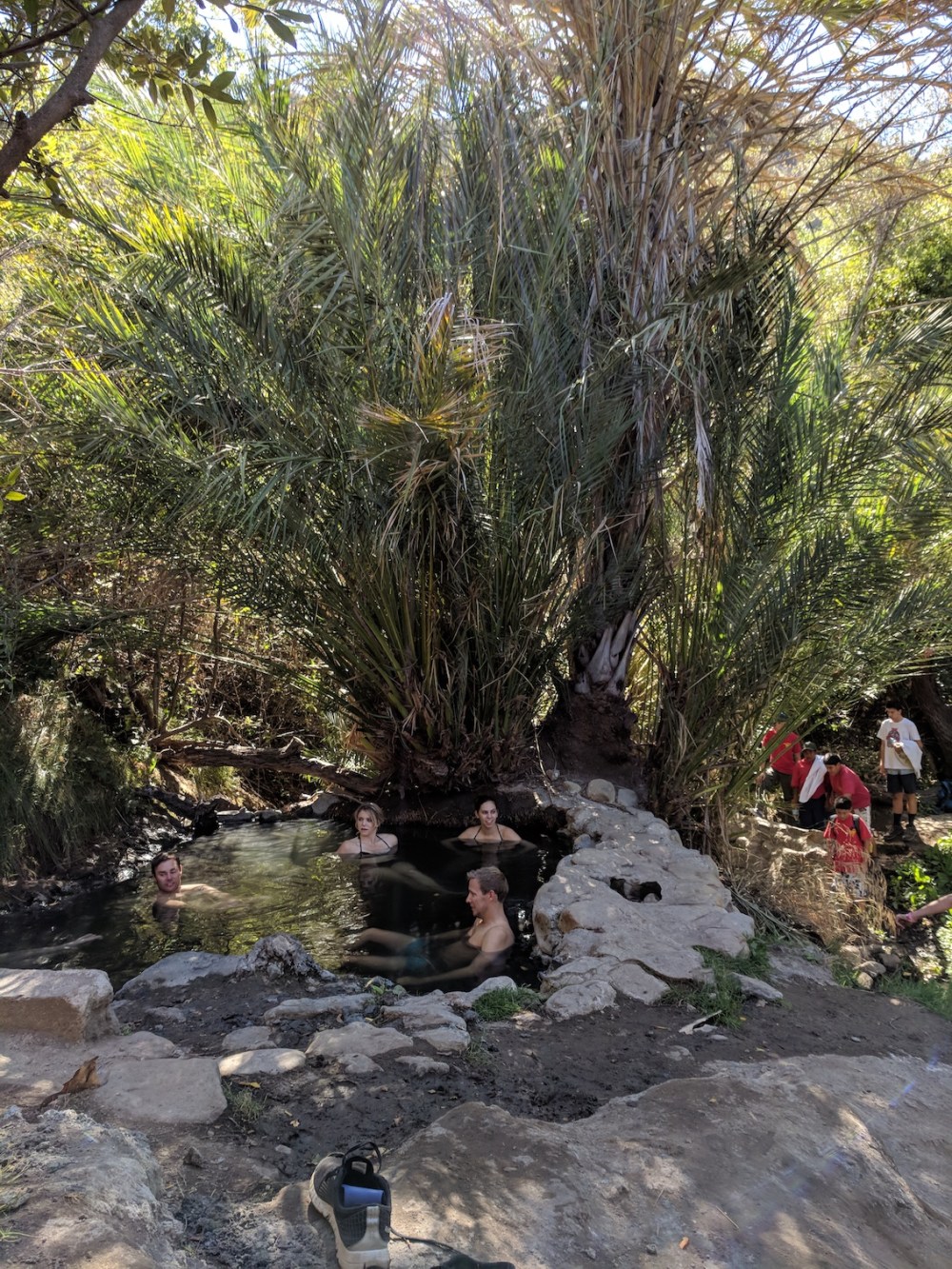 IMG_20171021_115939-resized