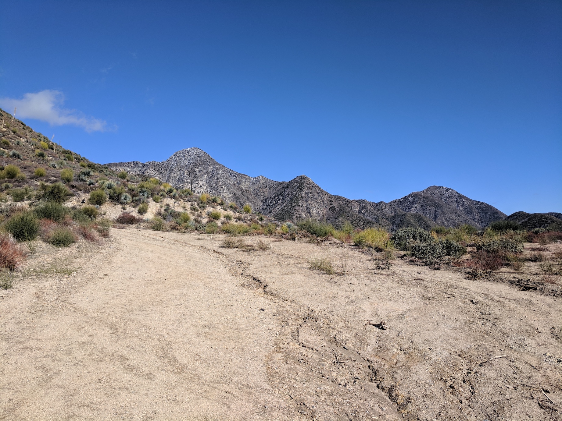 IMG_20190216_140228-resized