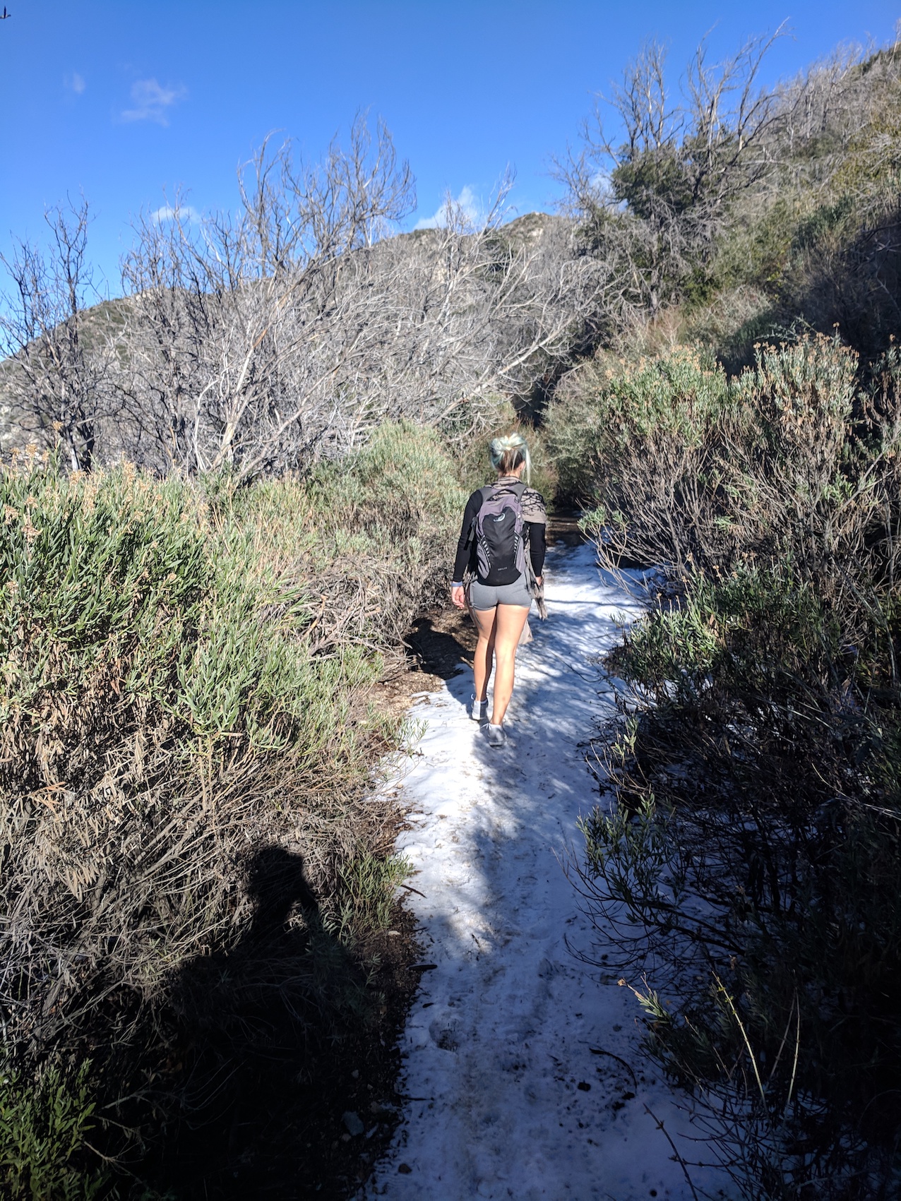 IMG_20190216_150736-resized