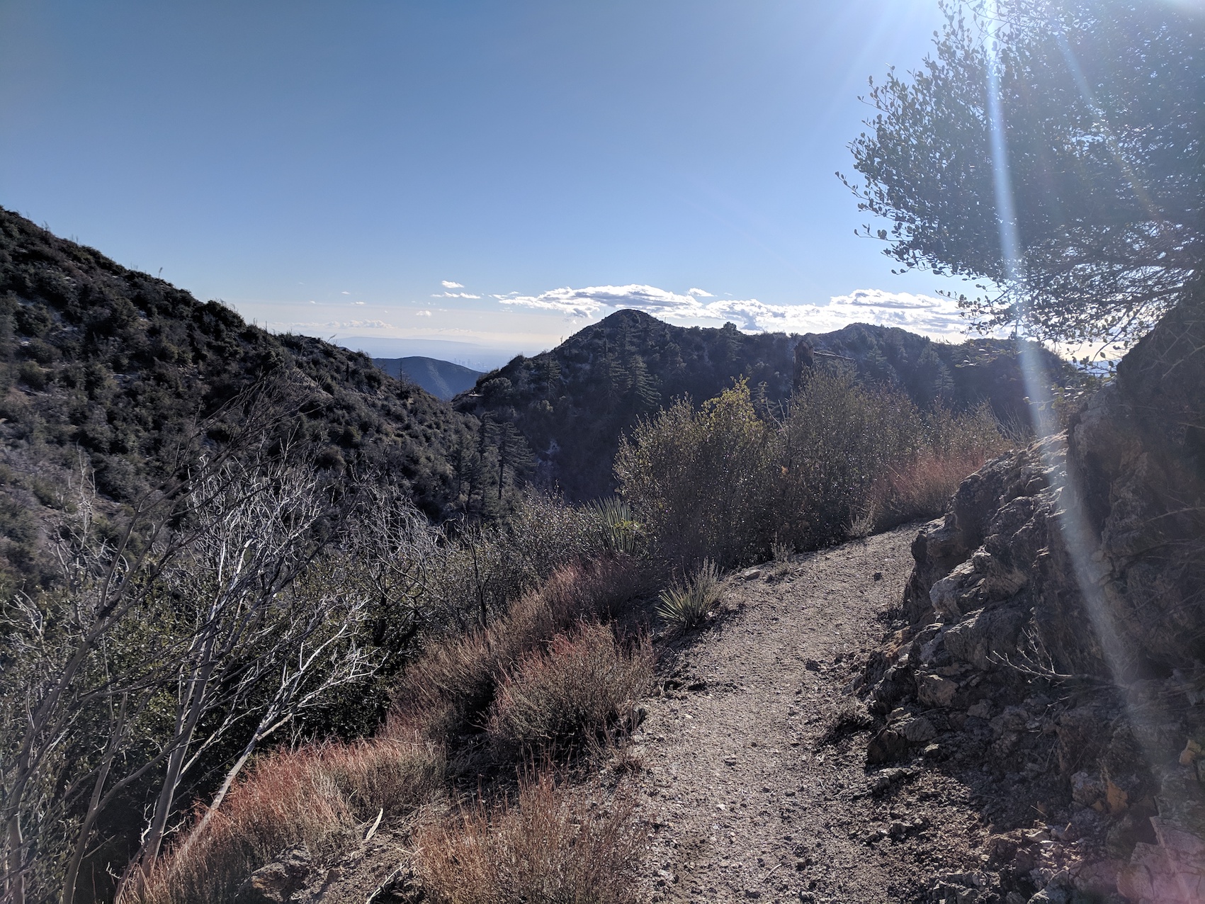 IMG_20190216_151917-resized