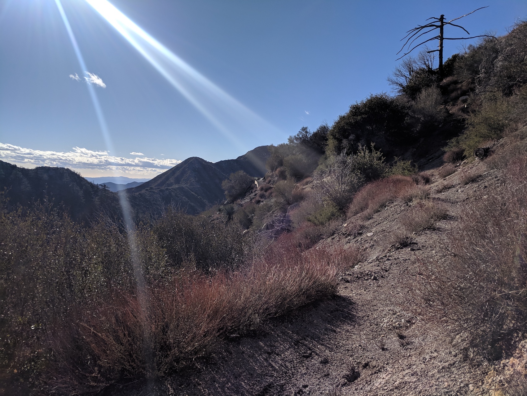 IMG_20190216_151925-resized