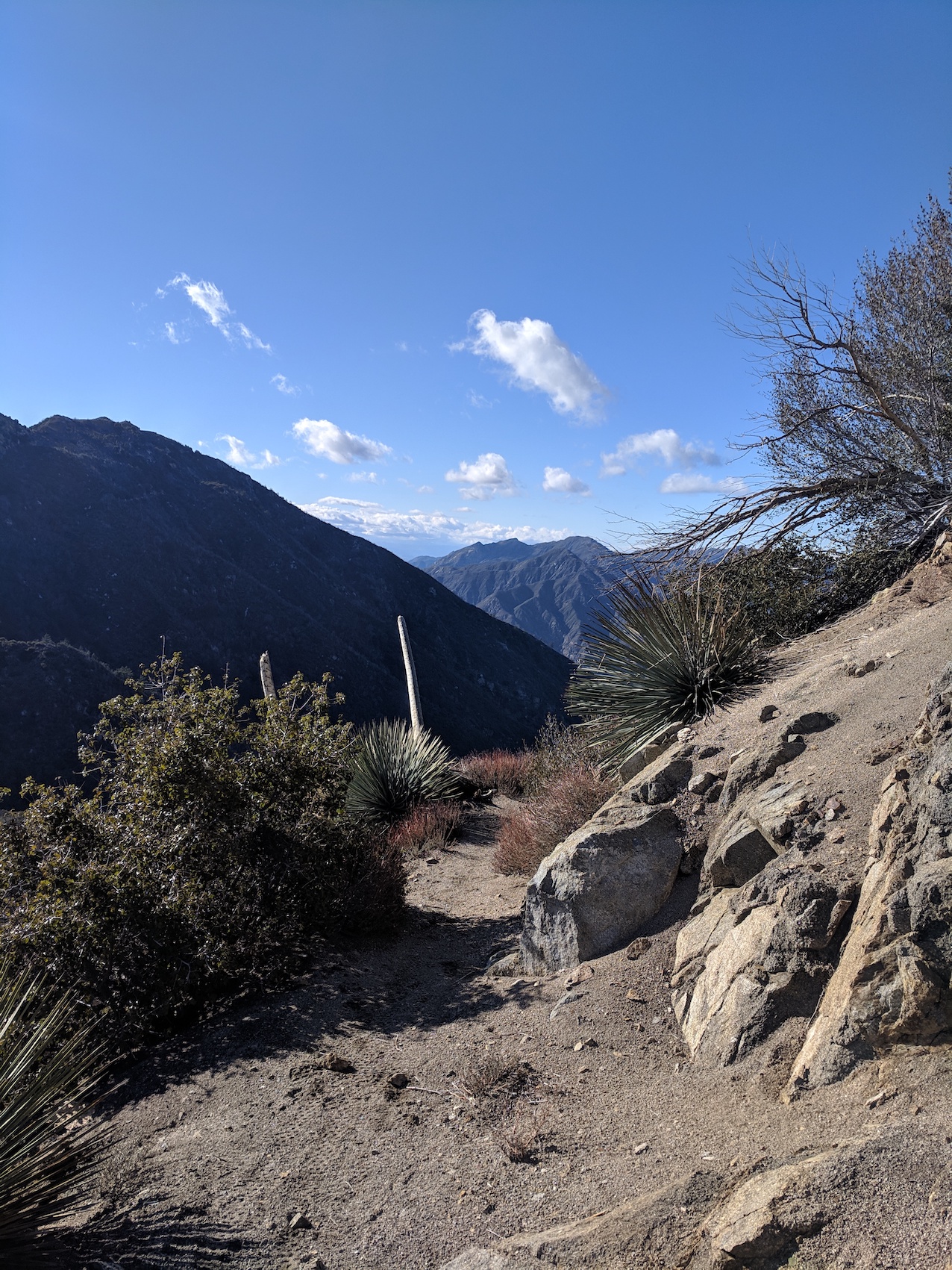 IMG_20190216_152018-resized