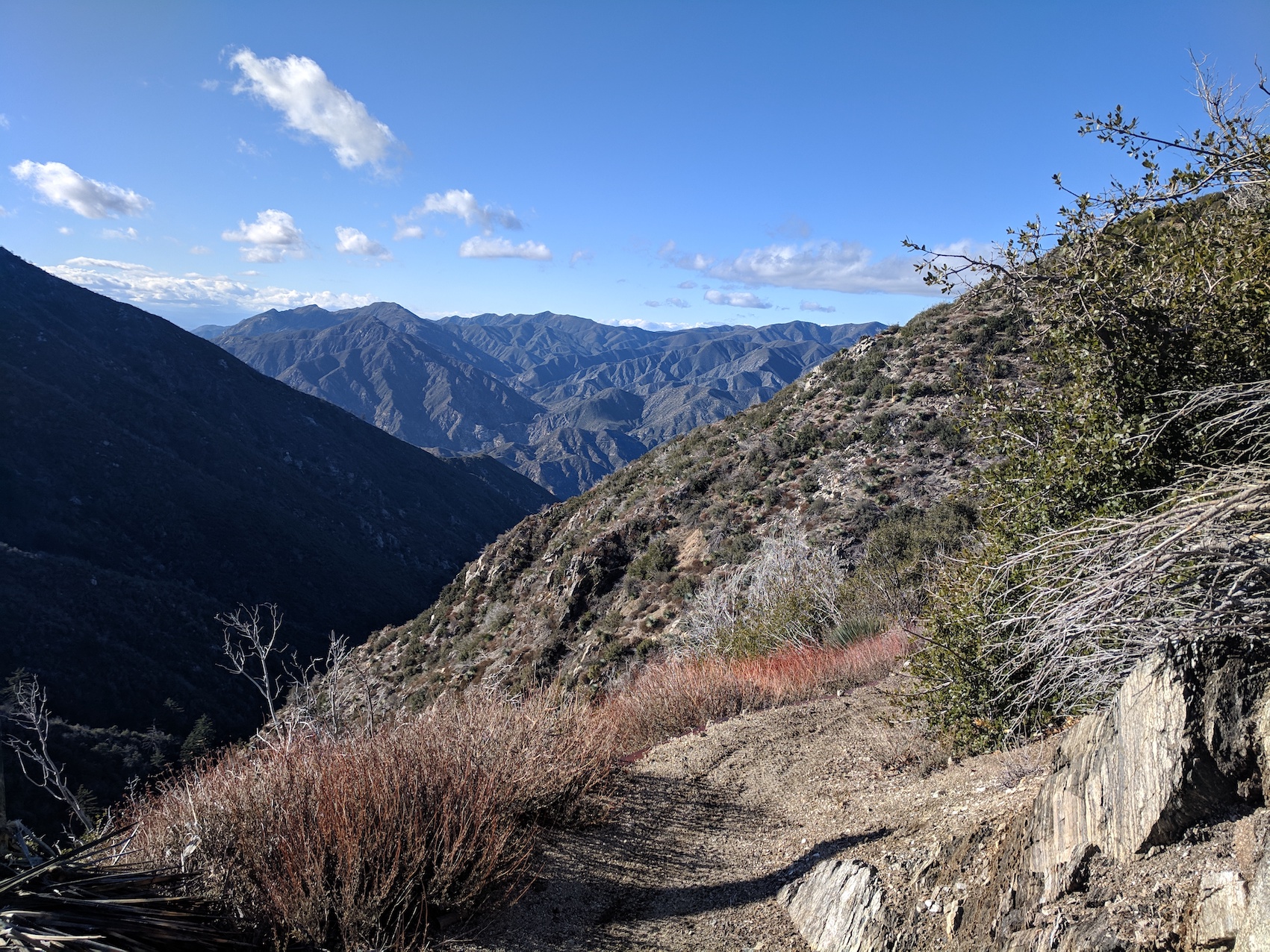 IMG_20190216_152028-resized