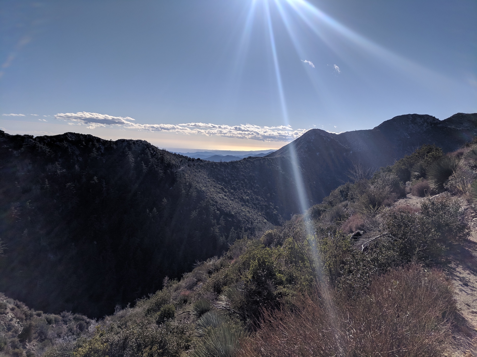 IMG_20190216_152359-resized