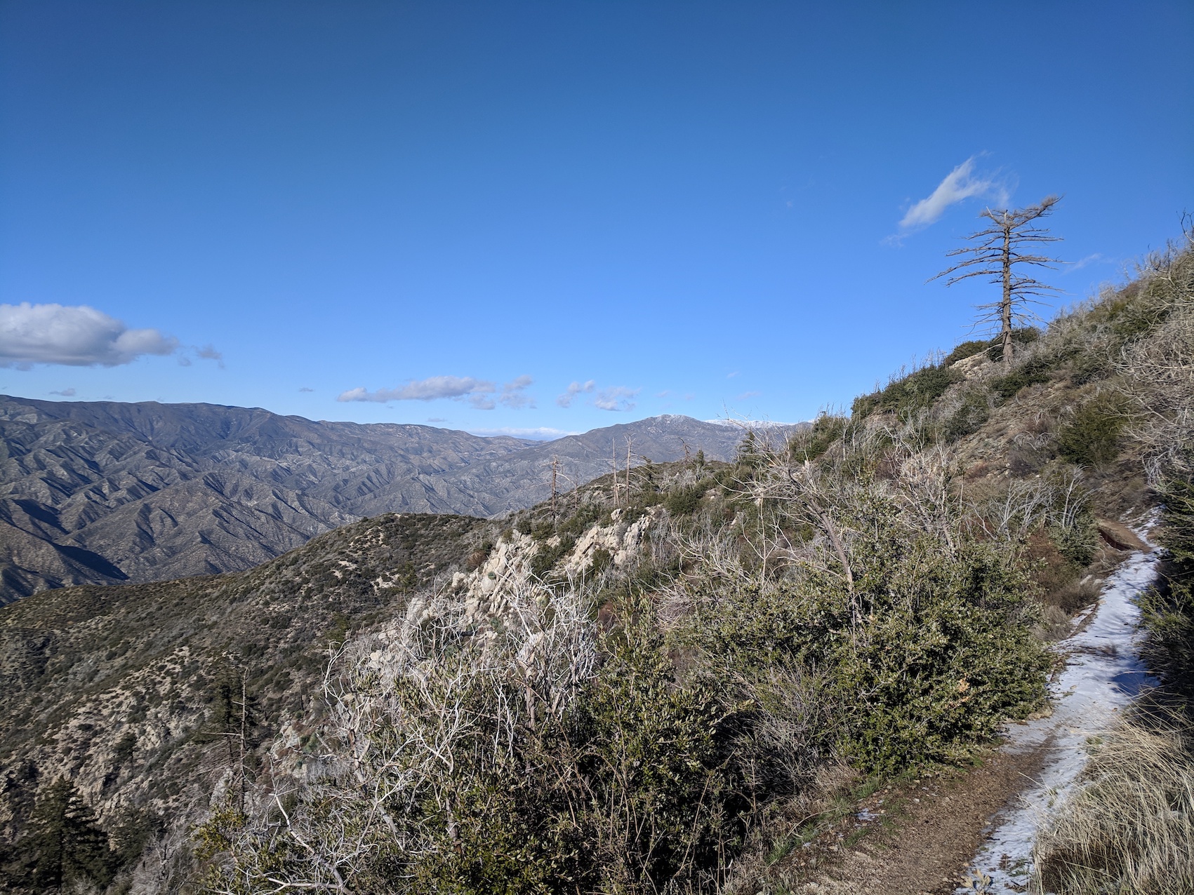 IMG_20190216_152546-resized