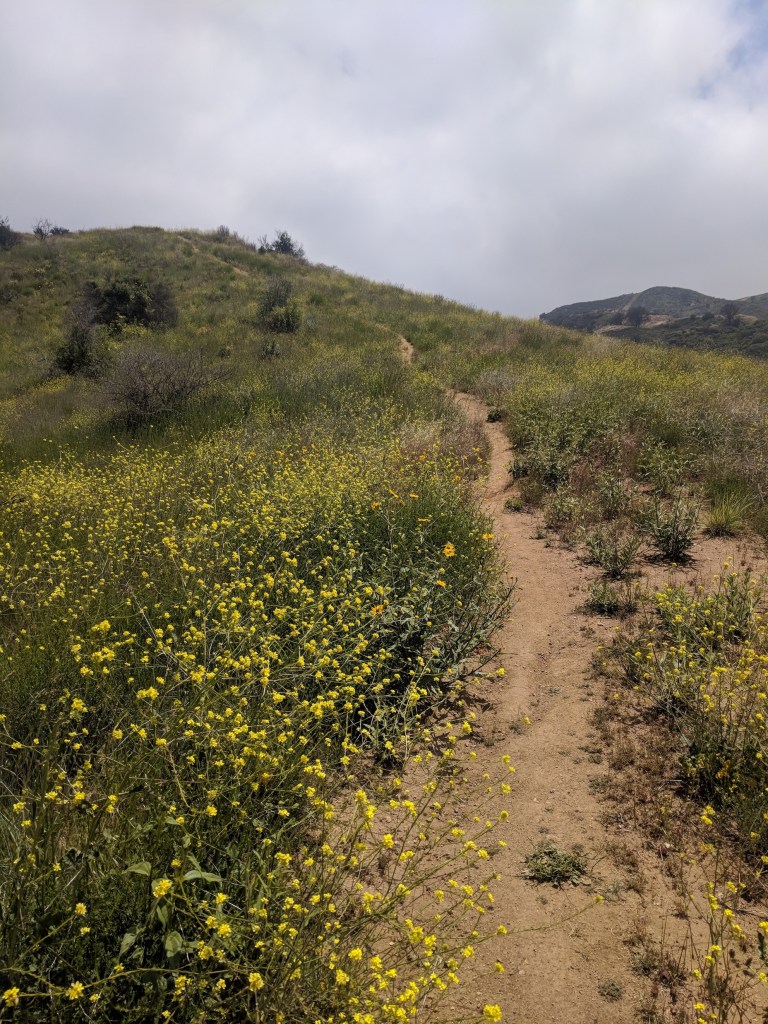 IMG_20180520_133151-resized