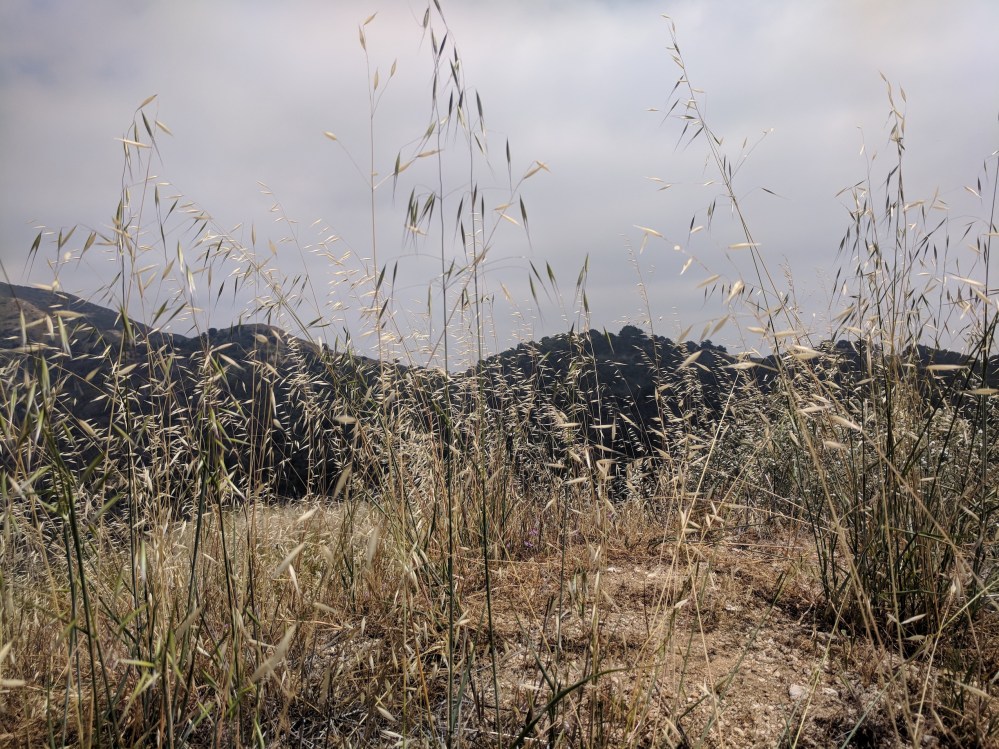 IMG_20180520_141306-resized