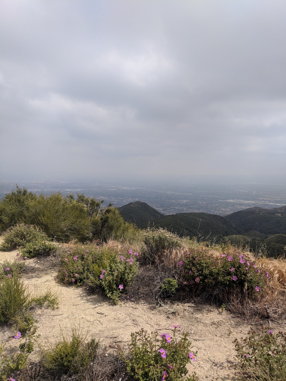 IMG_20180520_145441-resized