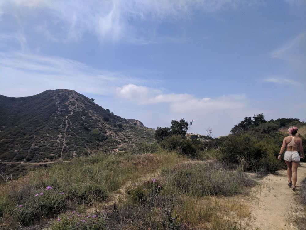 IMG_20180520_145614-resized