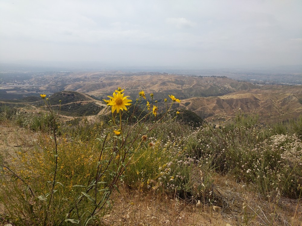 IMG_20180520_153942-resized