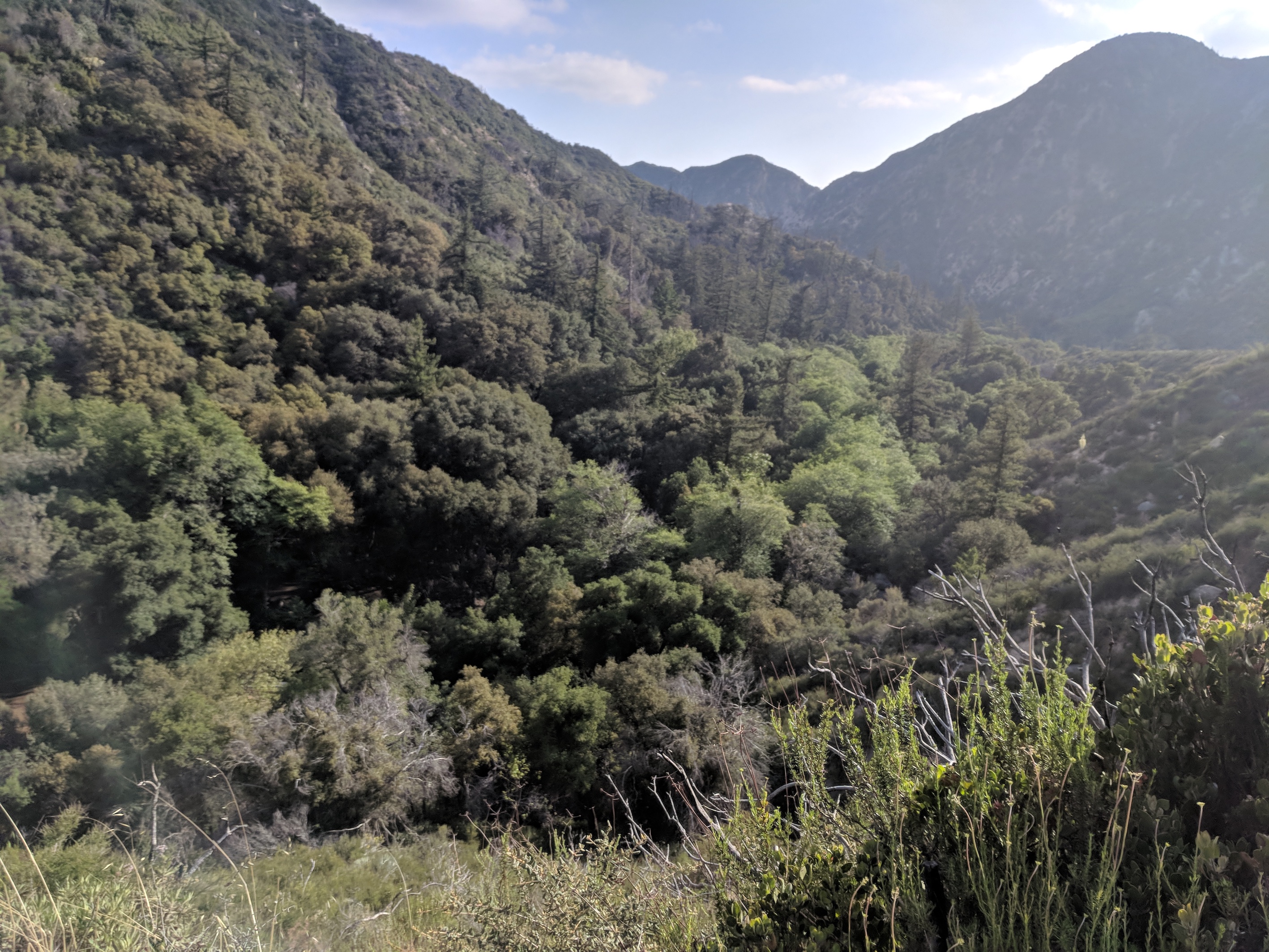 IMG_20180513_174533-resized