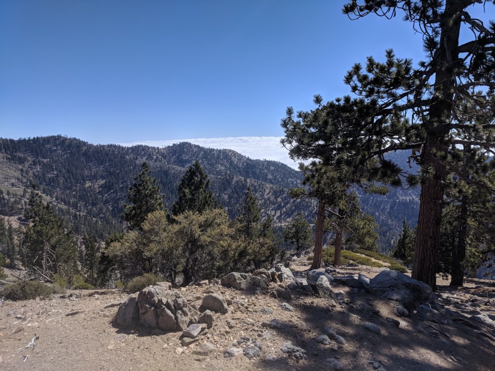 IMG_20180526_155820-resized