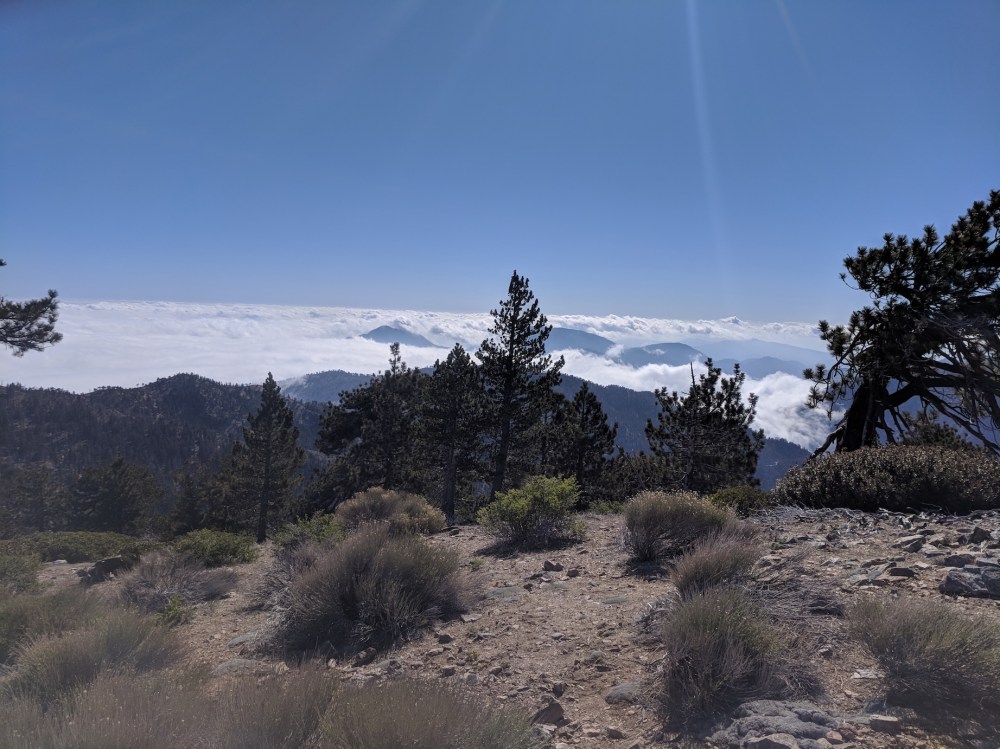 IMG_20180526_163655-resized