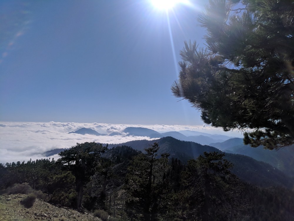 IMG_20180526_170757-resized