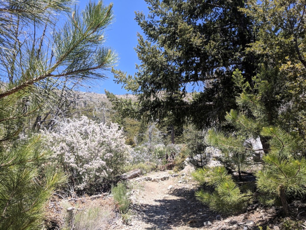 IMG_20180603_124019-resized