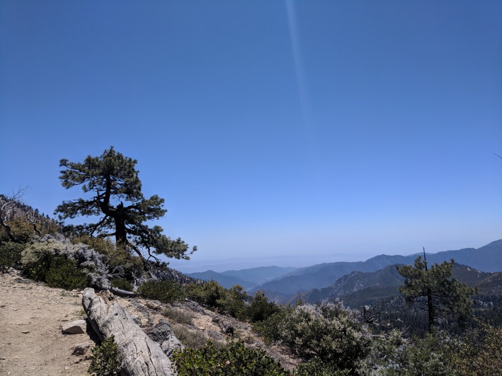 IMG_20180603_130824-resized