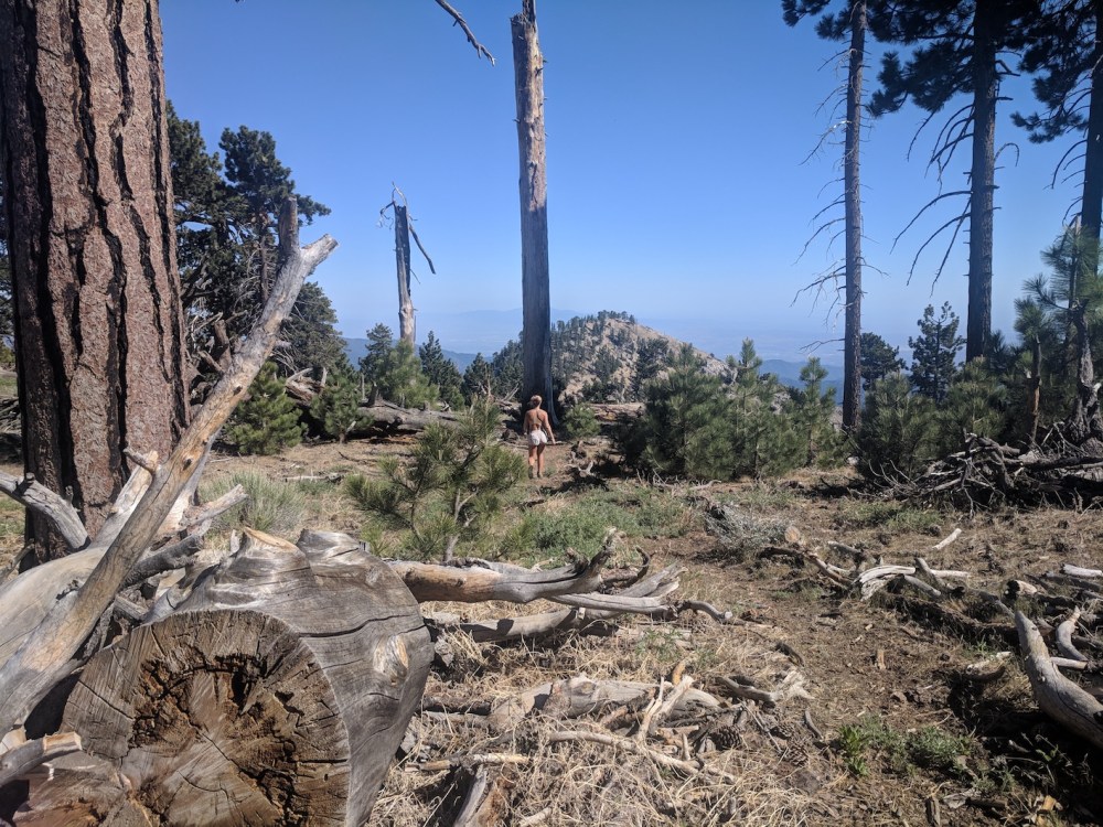 IMG_20180603_162114-resized