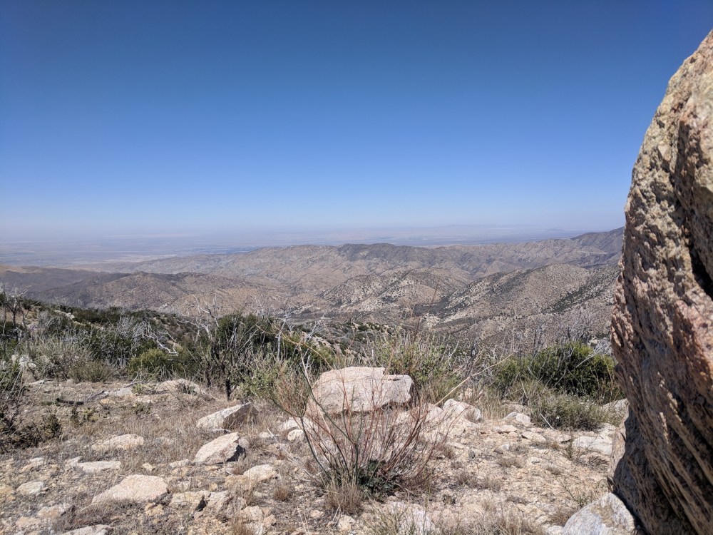 IMG_20180617_143003-resized