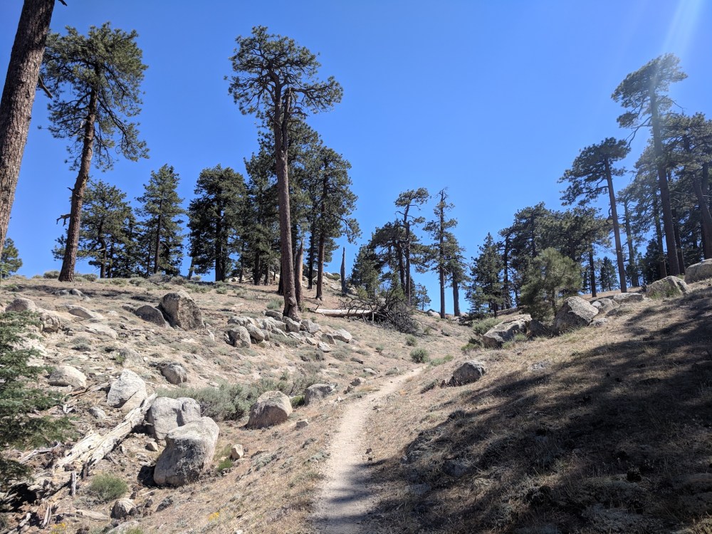 IMG_20180617_151556-resized