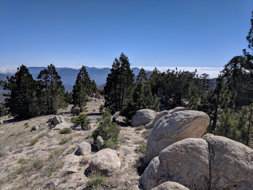 IMG_20180617_152923-resized