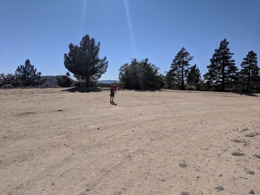 IMG_20180617_154237-resized