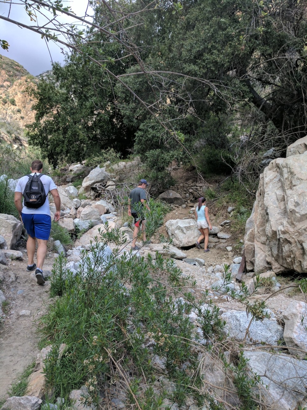 IMG_20170408_154917-resized