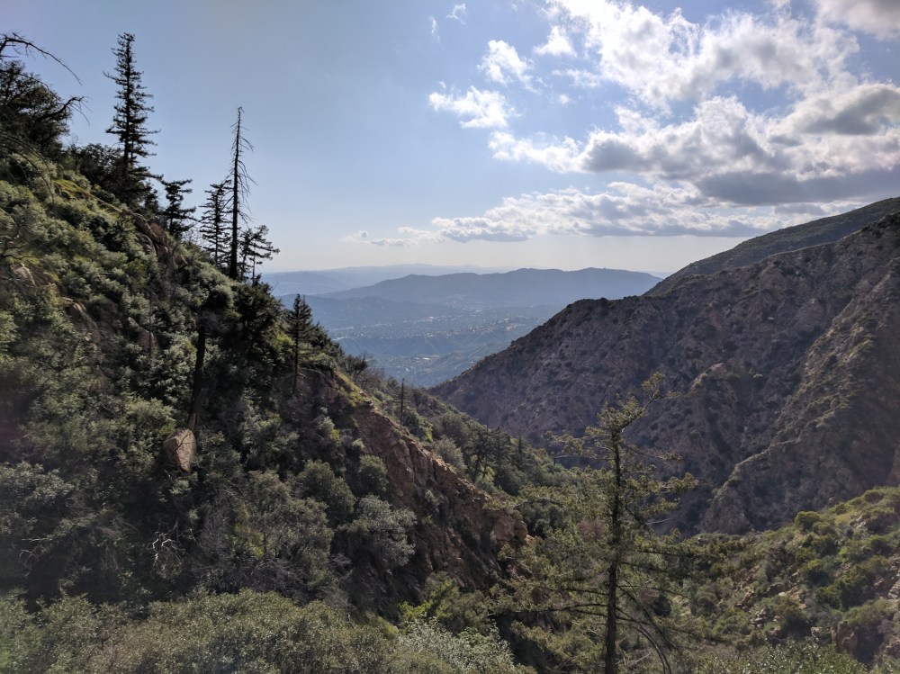 IMG_20170408_164504-resized