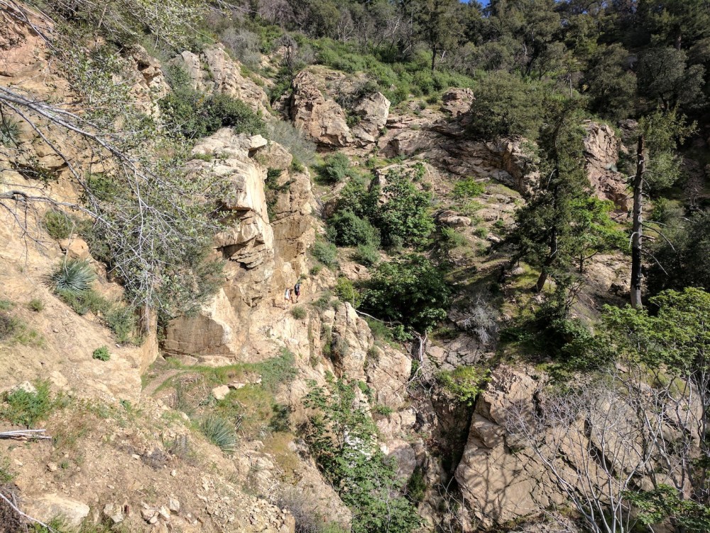 IMG_20170408_164517-resized