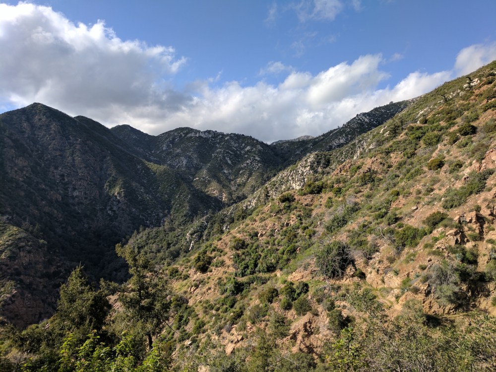 IMG_20170408_164729-resized