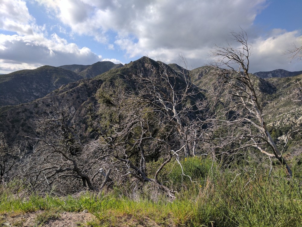 IMG_20170408_165150-resized