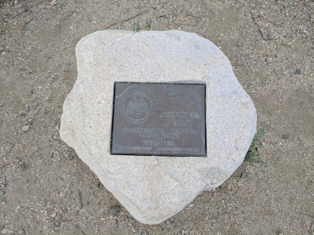 IMG_20170418_155433_resized