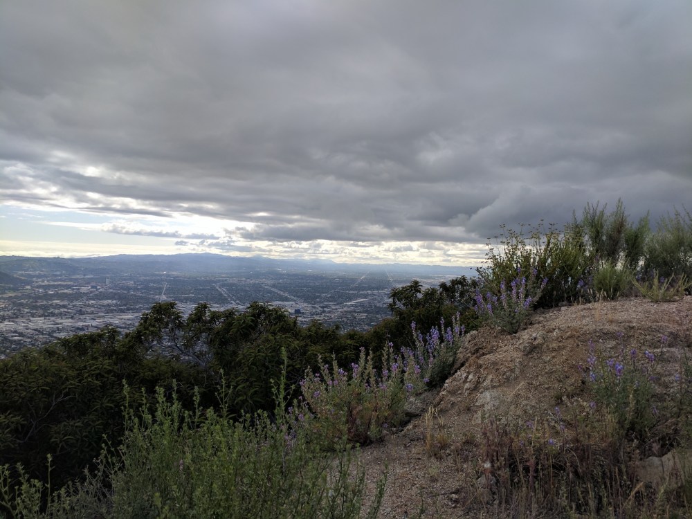 IMG_20170418_162601_resized