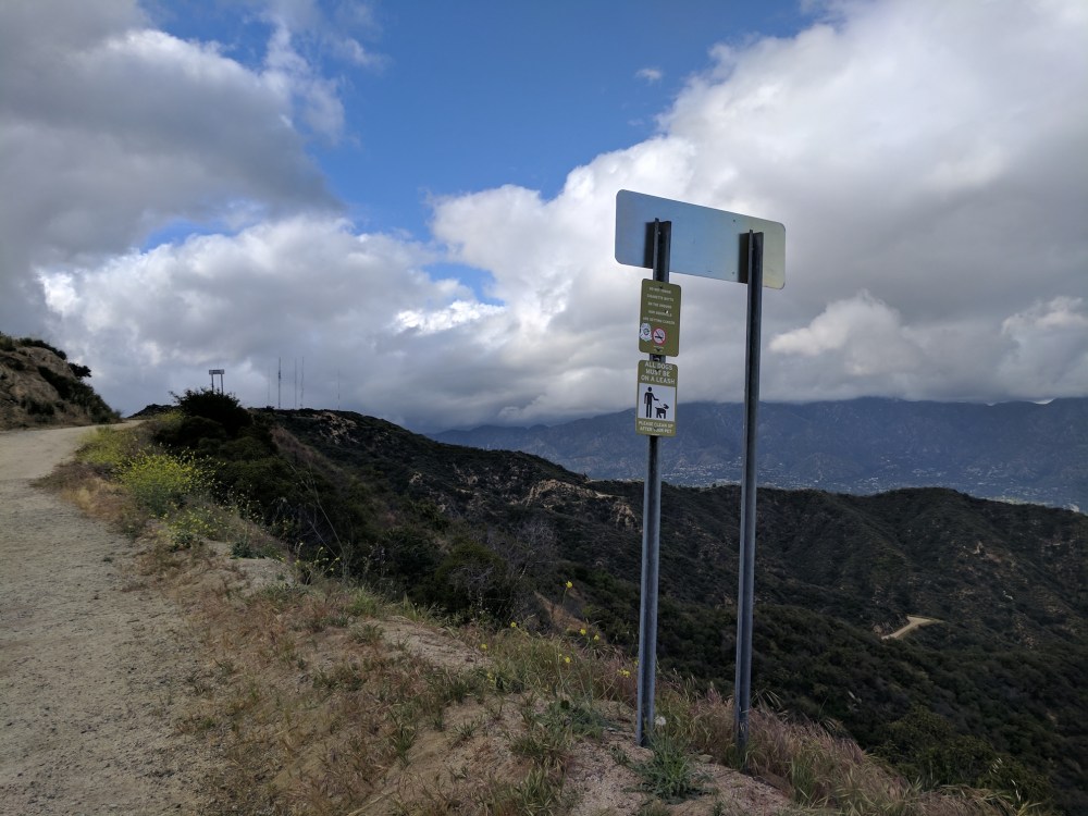 IMG_20170418_163042_resized