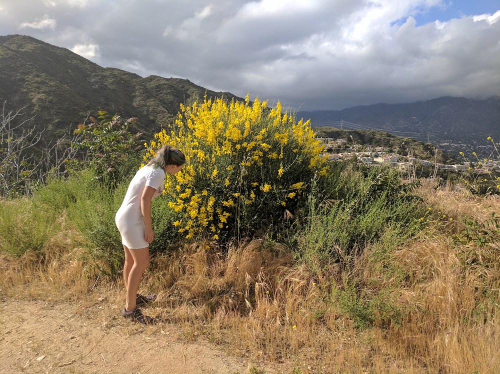 IMG_20170418_170313_resized