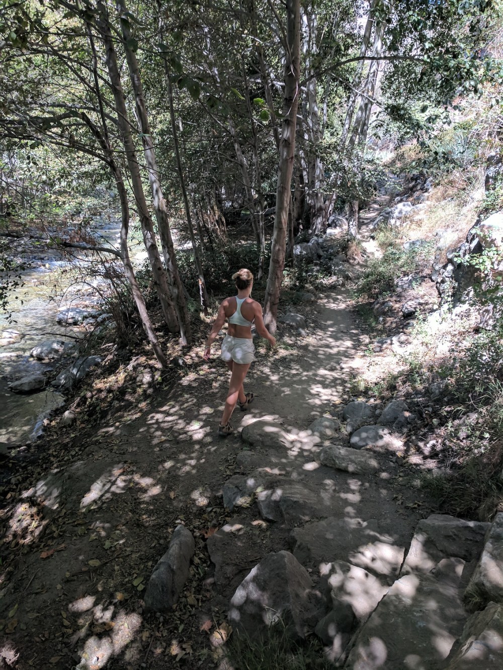 IMG_20171008_122152-resized