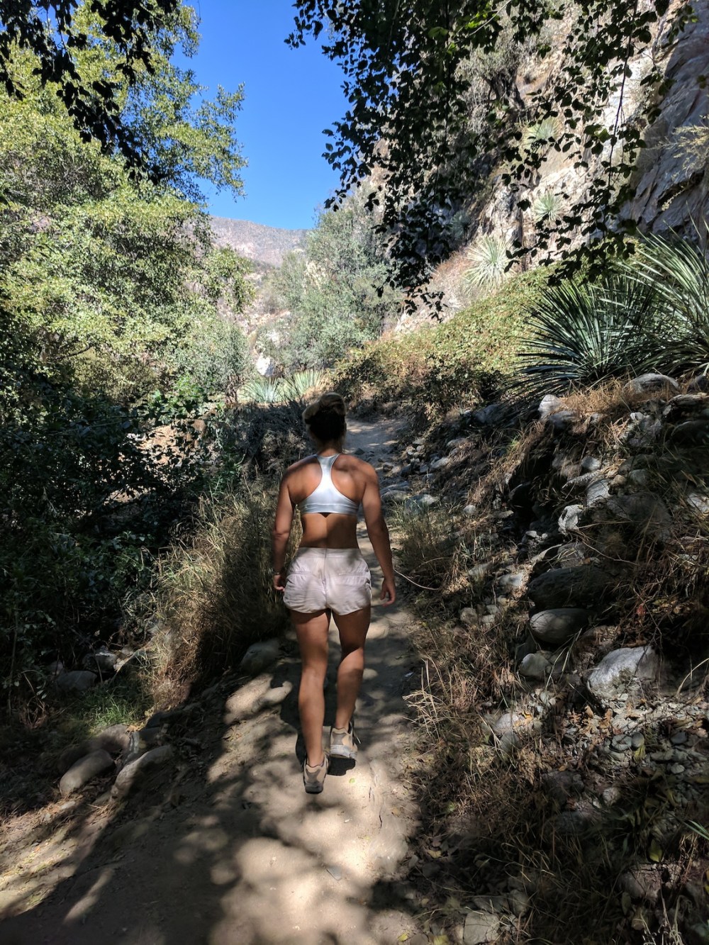 IMG_20171008_122210-resized