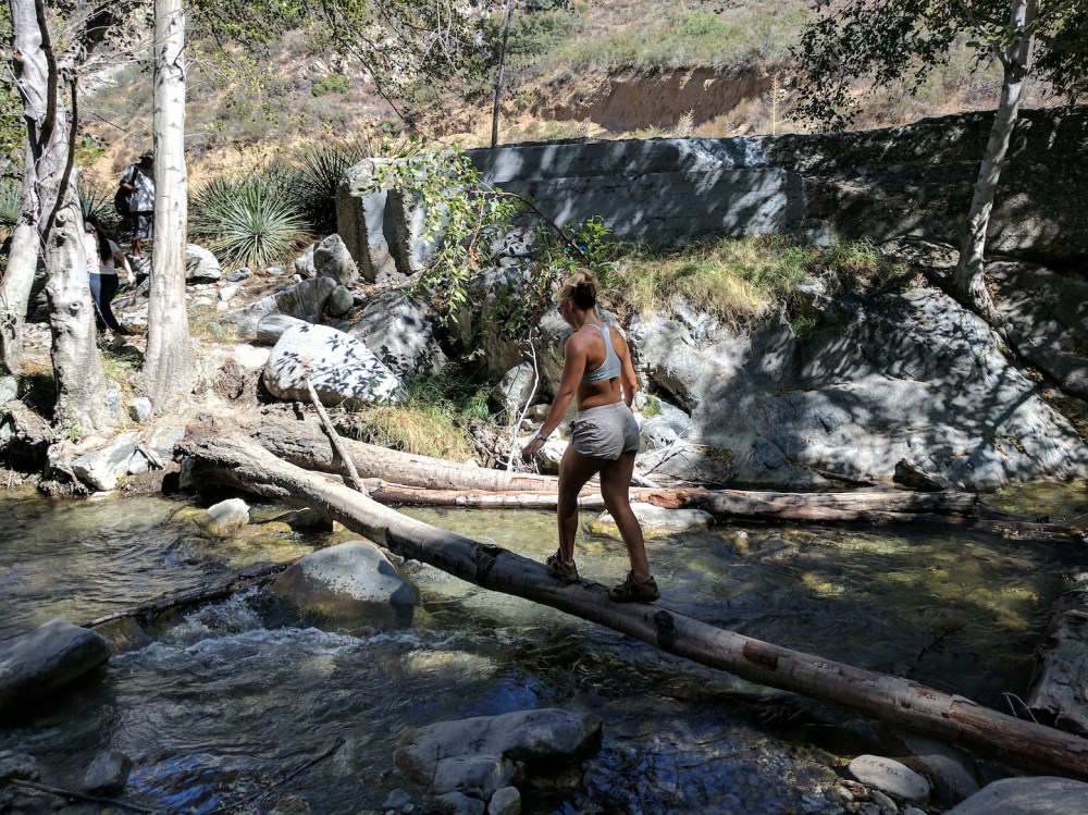 IMG_20171008_123336-resized