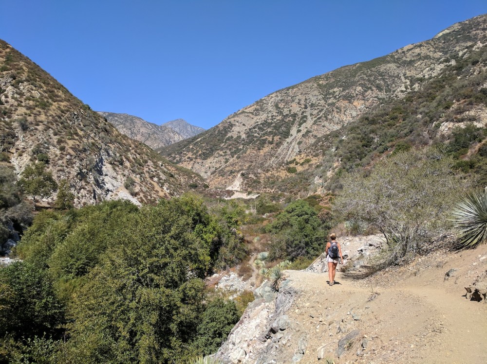 IMG_20171008_132607-resized