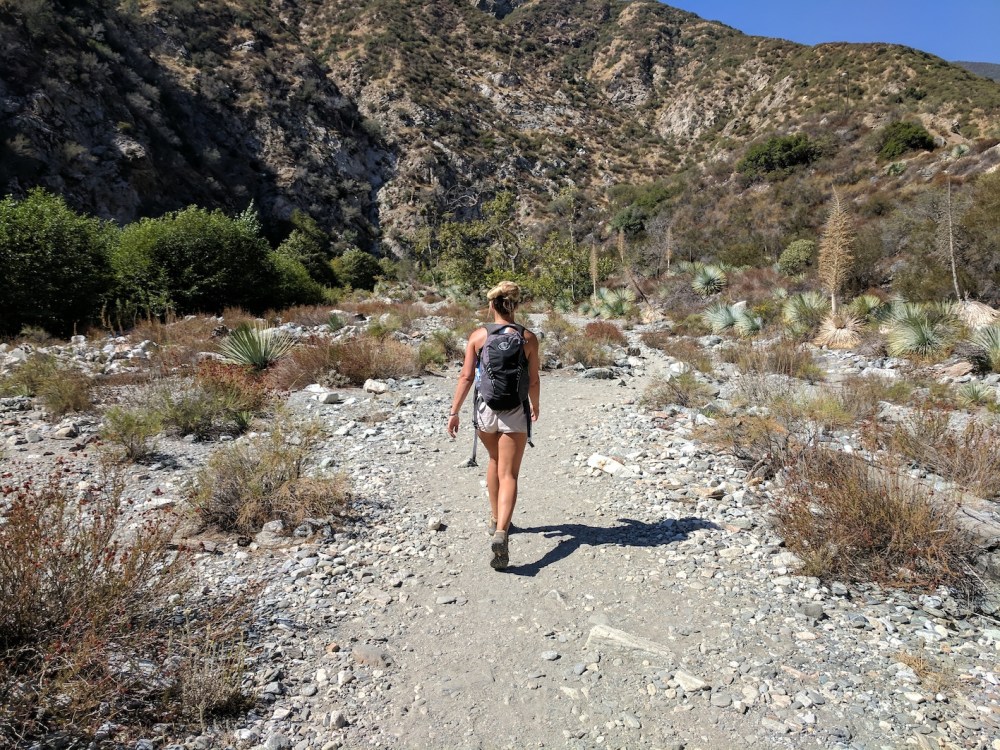 IMG_20171008_133045-resized