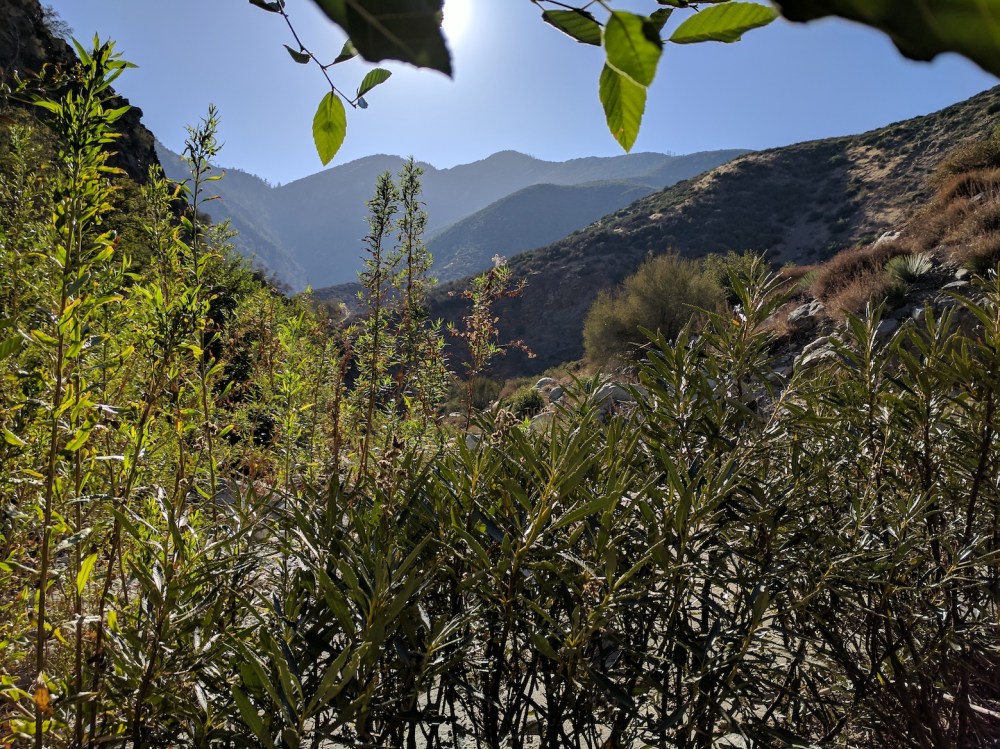 IMG_20171008_154507-resized