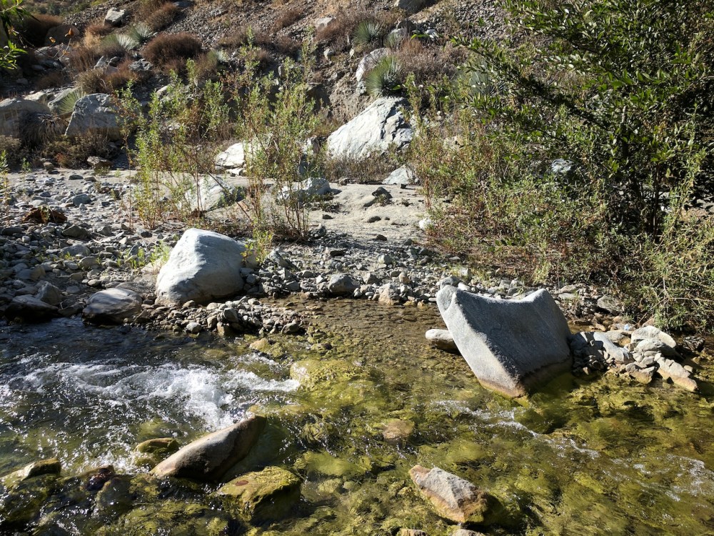 IMG_20171008_154928-resized