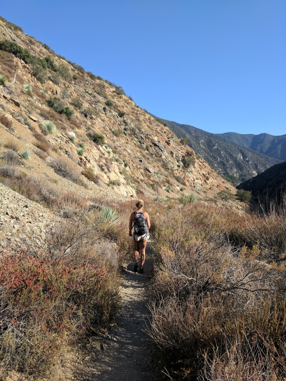 IMG_20171008_160235-resized