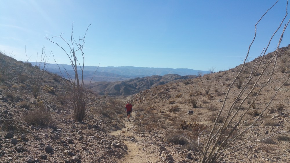 2018-11-03 14.54.08-resized