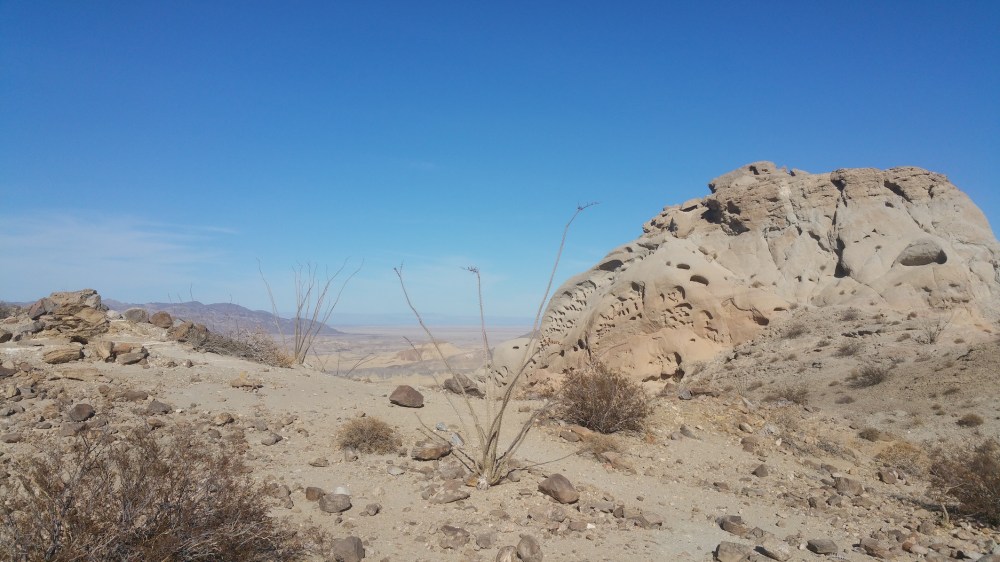 2018-11-03 14.54.21-resized