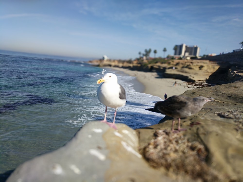 IMG_20181103_103238-resized