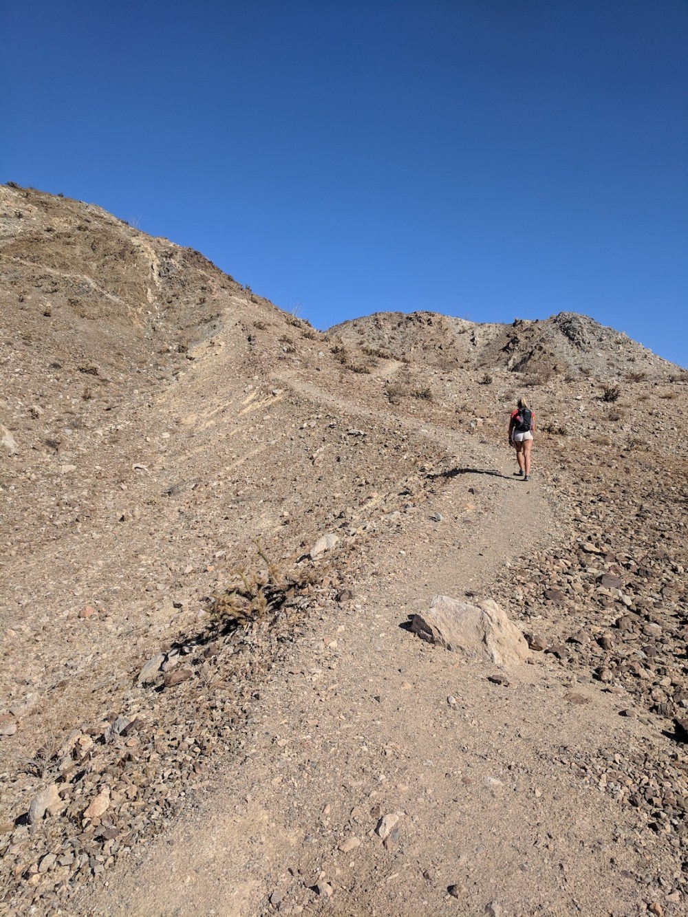 IMG_20181103_144823-resized