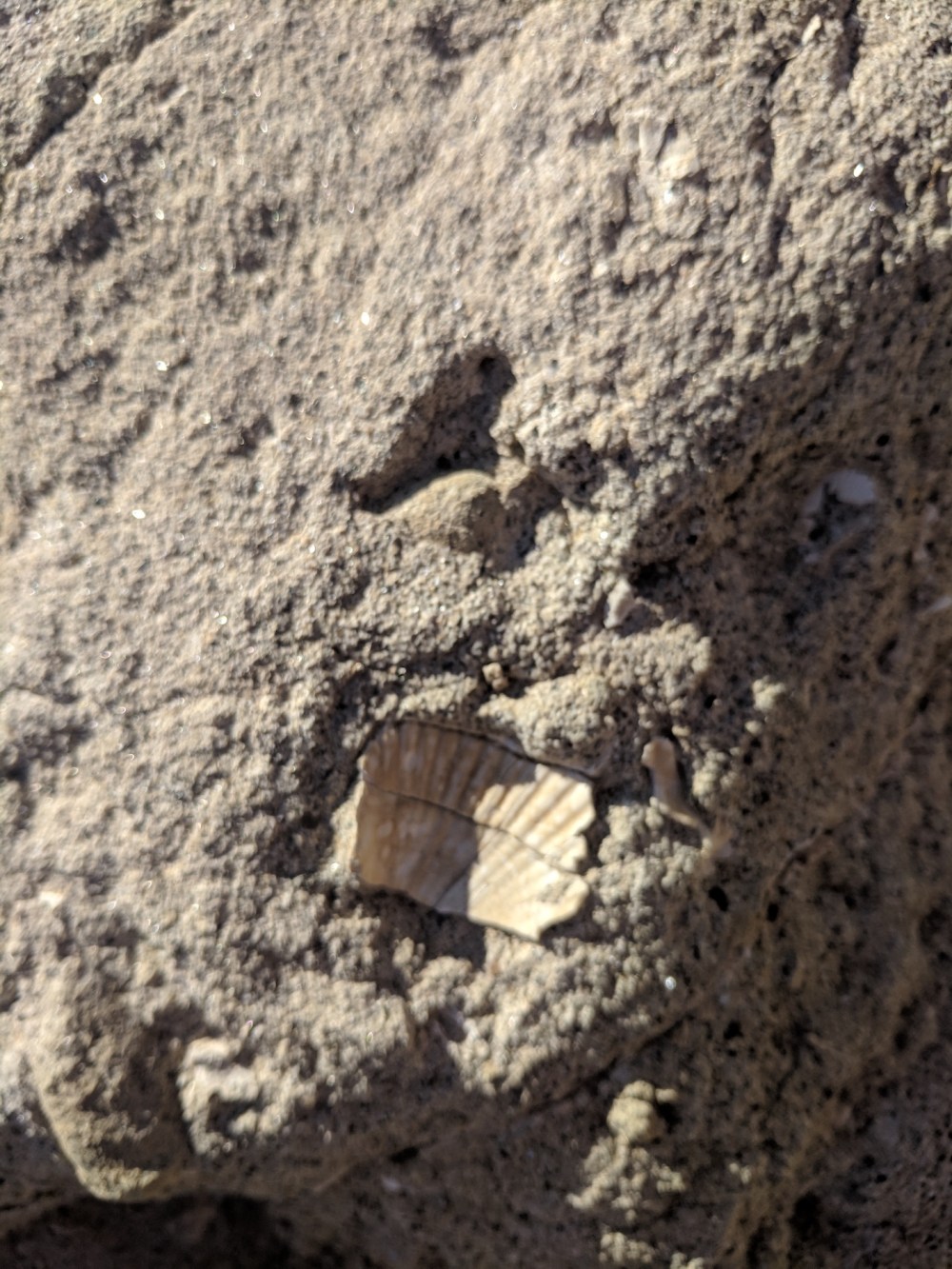 IMG_20181103_154023-resized