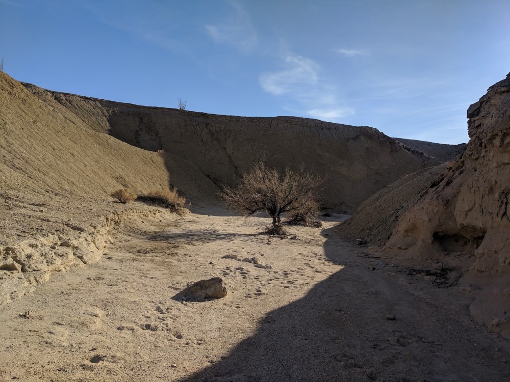 IMG_20181103_161323-resized