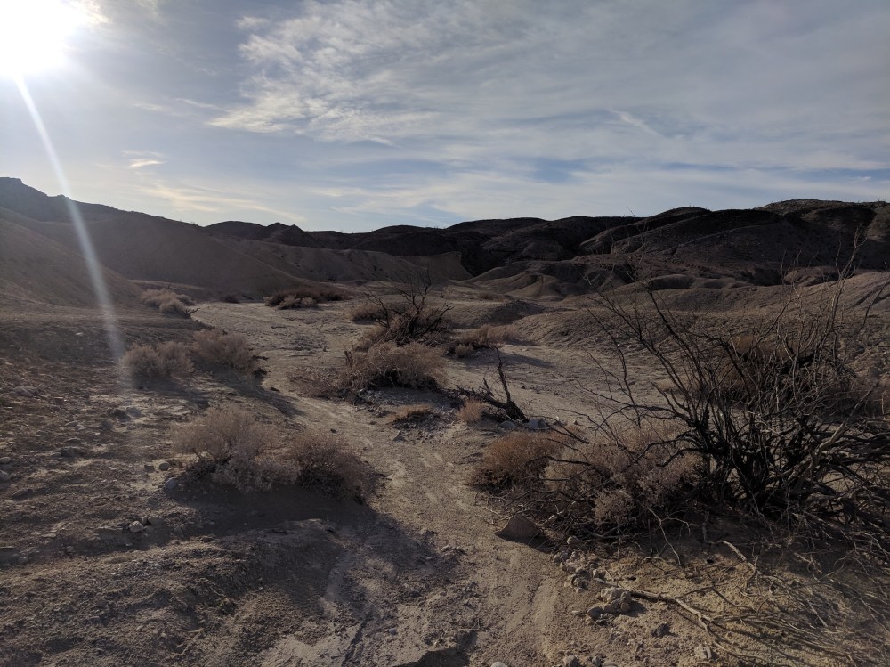 IMG_20181103_162441-resized