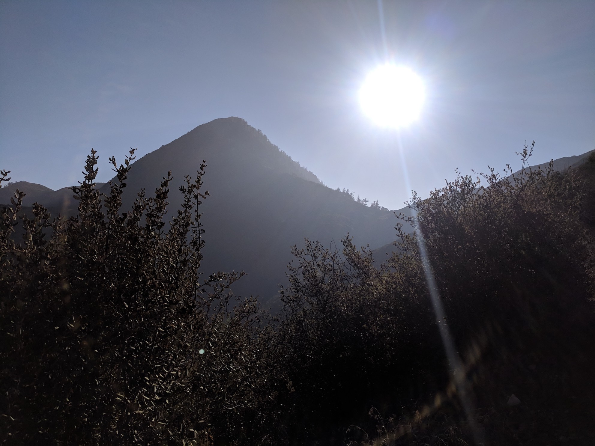 IMG_20181107_150952-resized